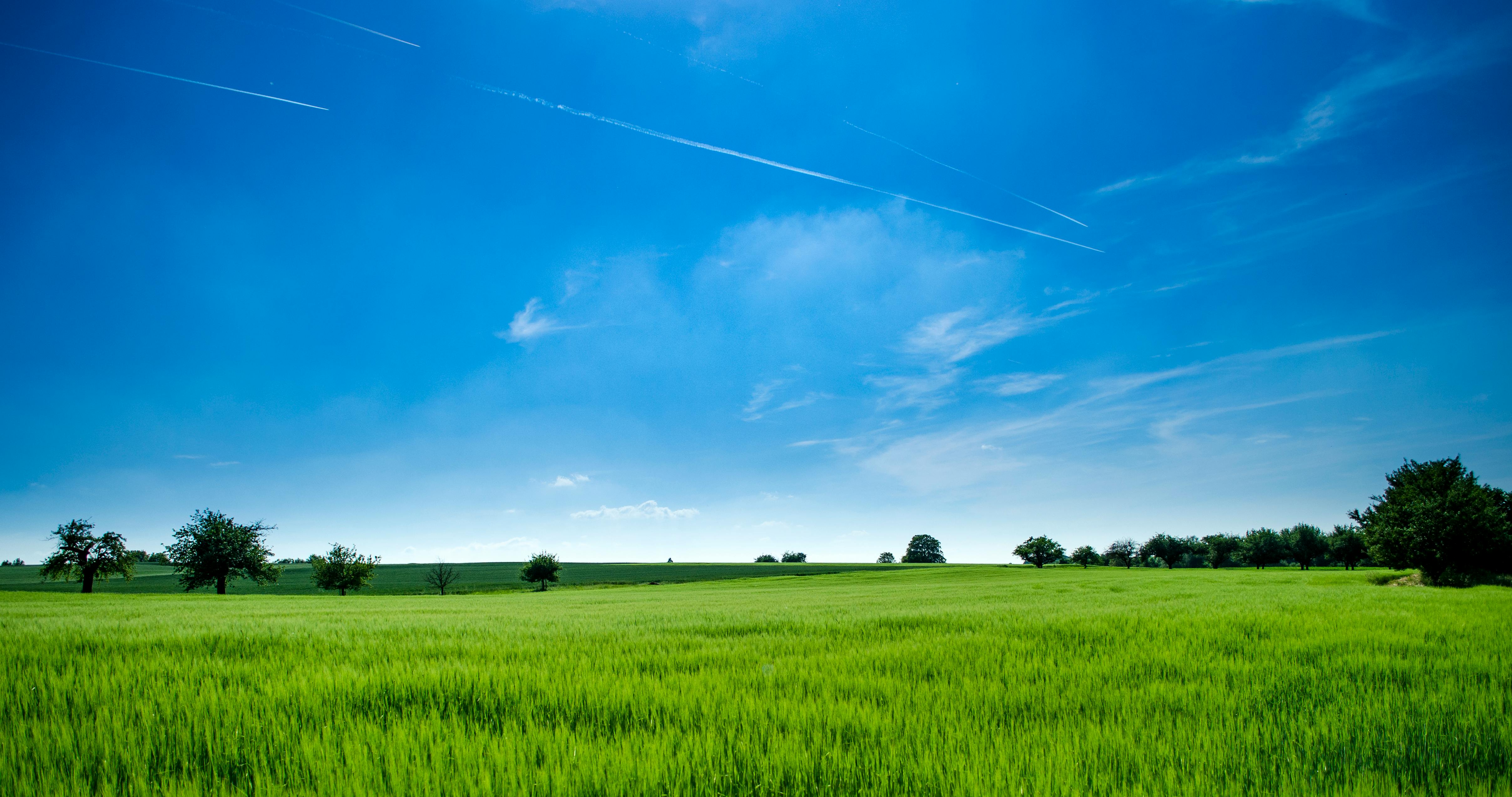 Banner 1
